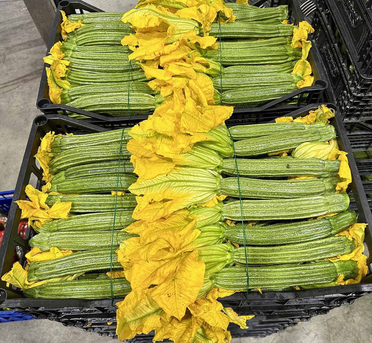 Zucchine con fiore, origine Lazio, 1 euro al chilo